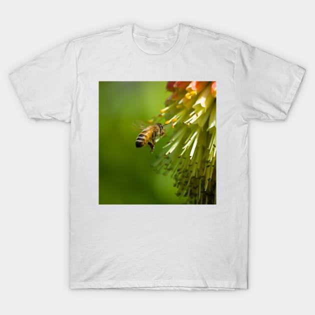 Bee in Flight T-Shirt by Nigdaw